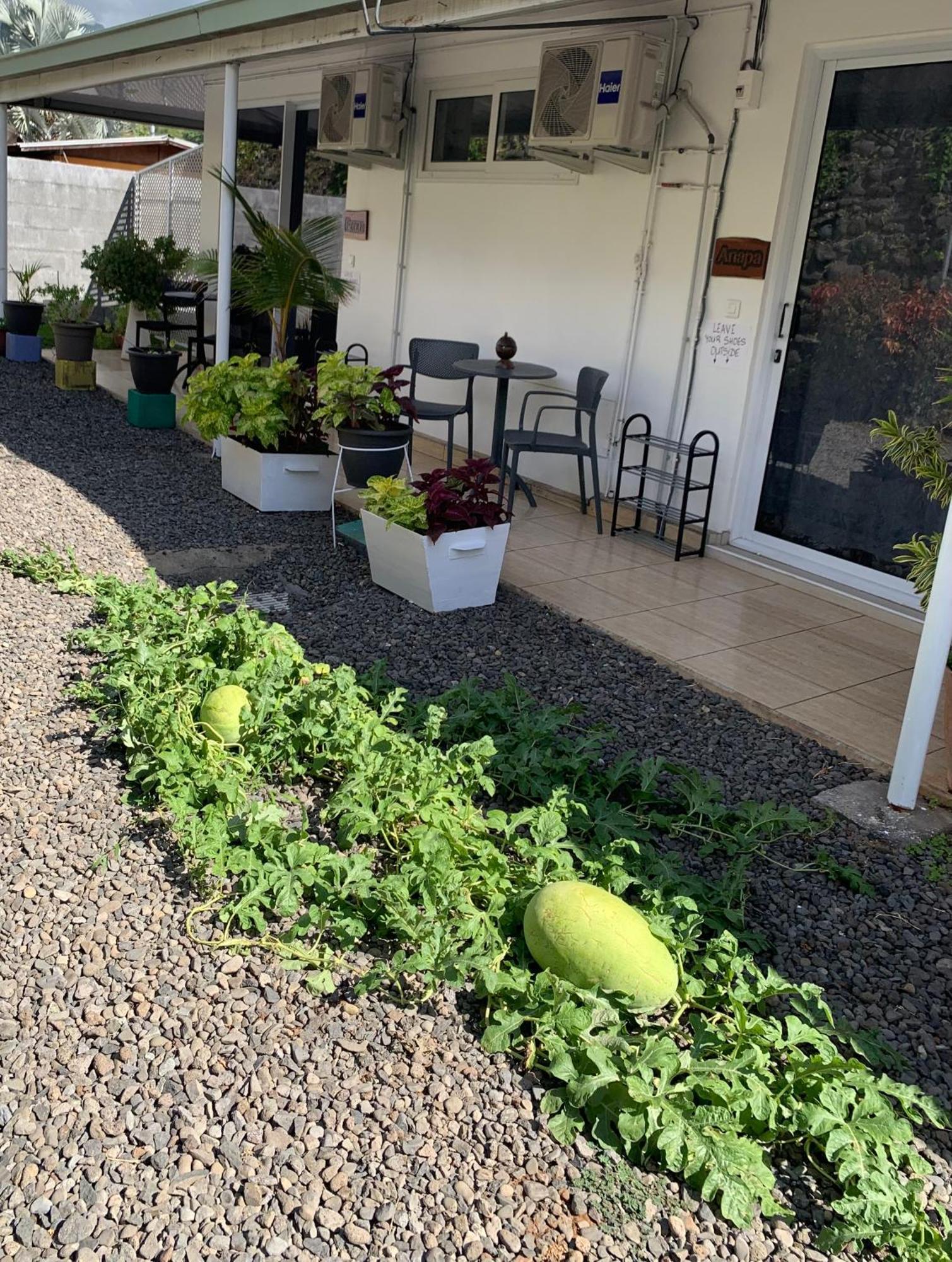 A Tomo Mai Homestay, Close To Airport, Private Bathroom Free Parking And Wifi With High Connection And Breakfast Optional Faaa Ngoại thất bức ảnh